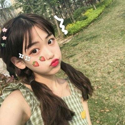 北极故事